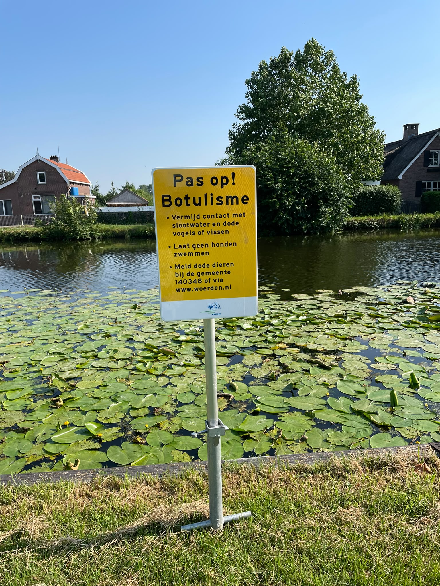 Botulisme in de Oude Rijn! Ga niet zwemmen